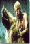 Imagen de Amores Perros